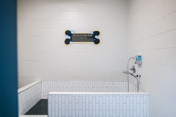 Pet wash center
